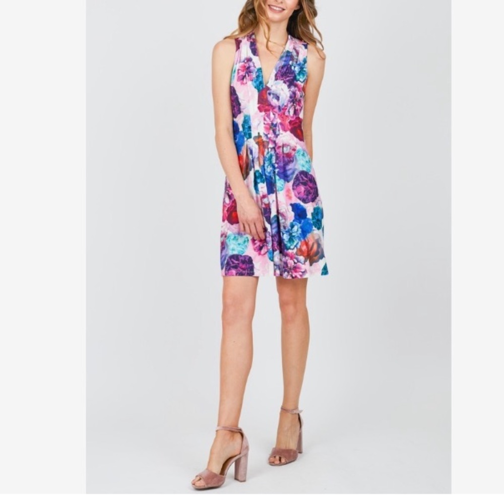 Catherine Malandrino Pleated Front Dress